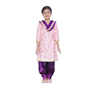 Punjabi Dress for Girls Traditional Folk Dance Costume for Kids