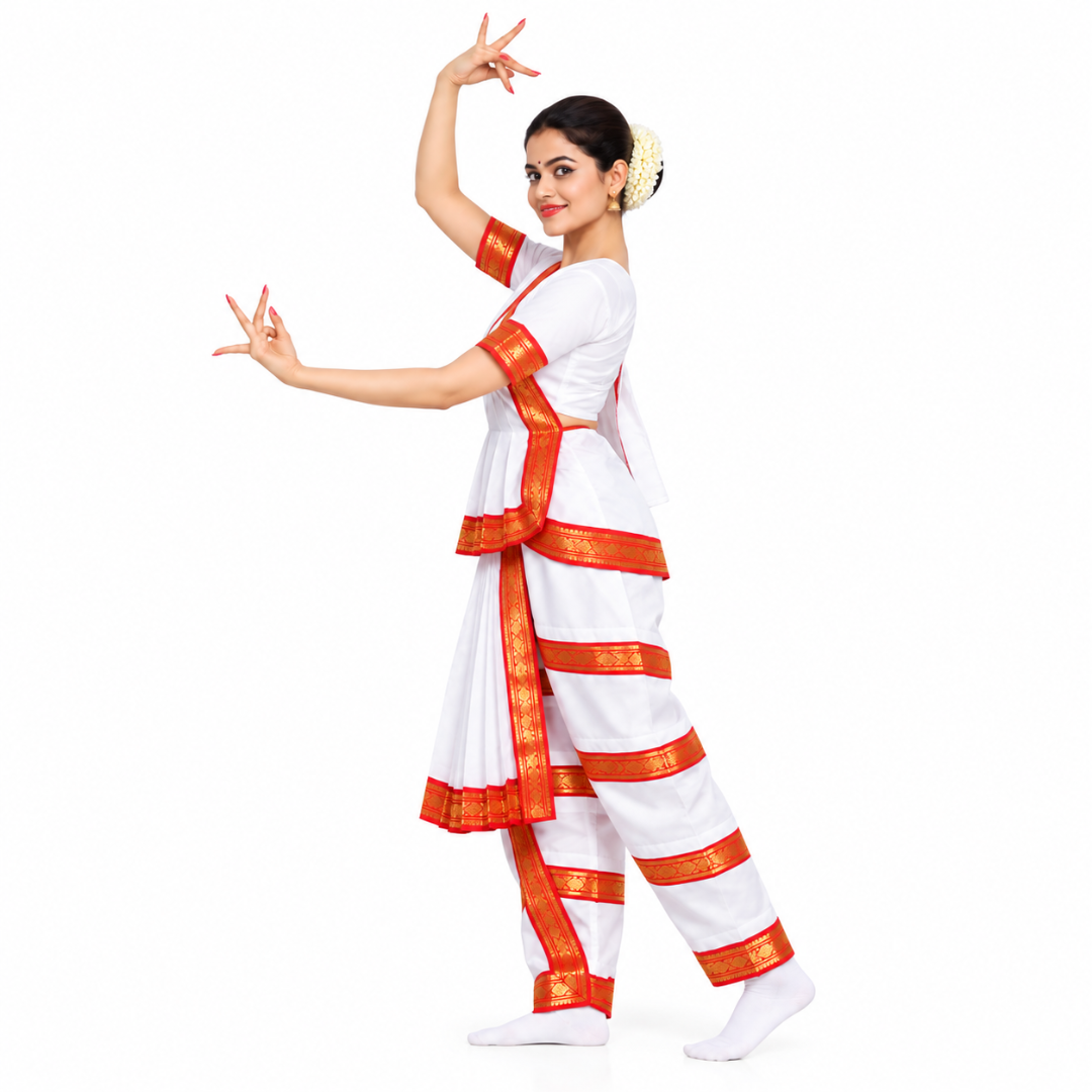 Bharatanatyam Dress - Indian Classical Dance Costume