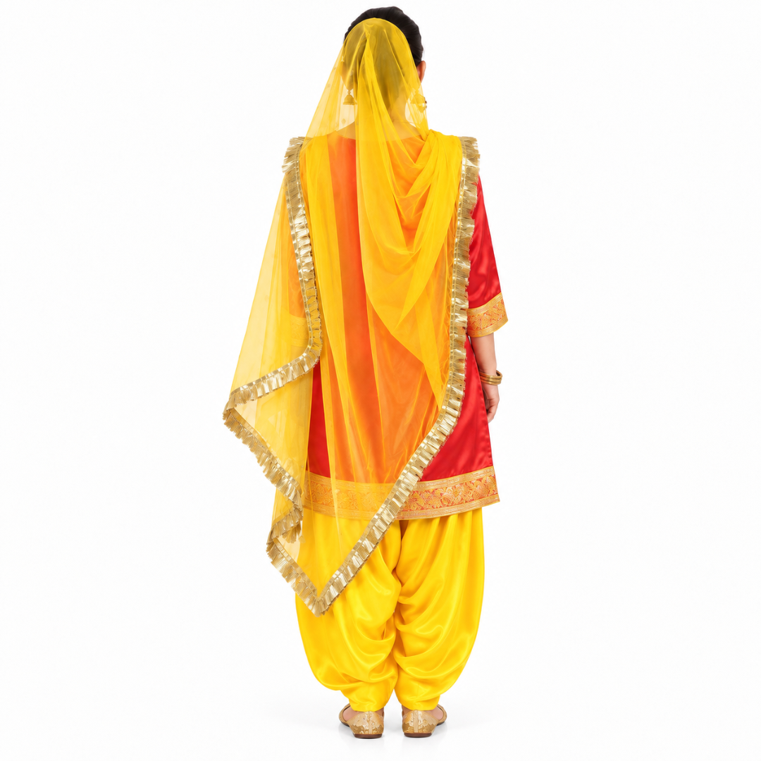 Punjabi Dress for Girls Traditional Folk Dance Costume for Kids