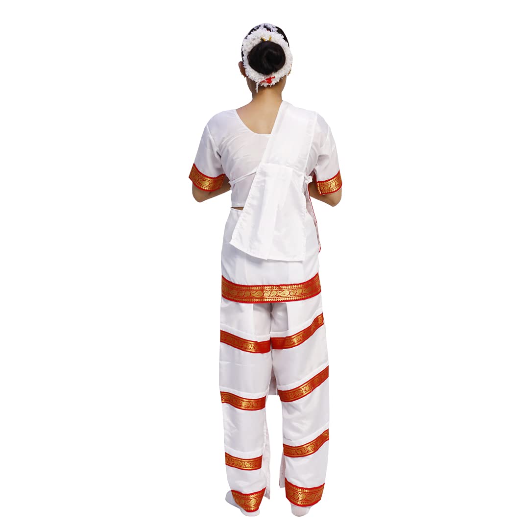 Bharatanatyam Dress - Indian Classical Dance Costume