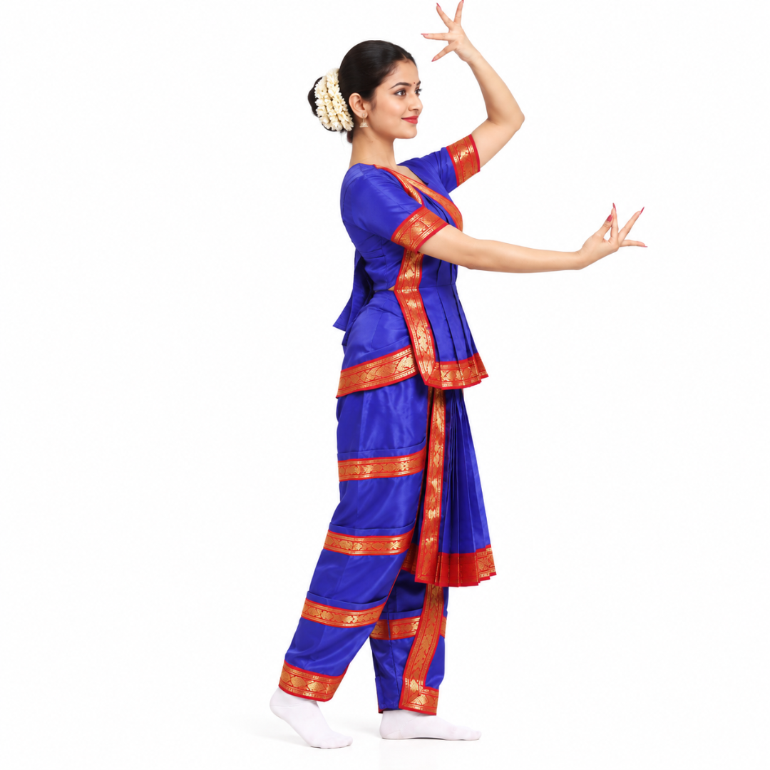 Bharatanatyam Dress - Indian Classical Dance Costume