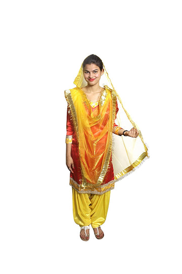Punjabi Dress for Girls Traditional Folk Dance Costume for Kids