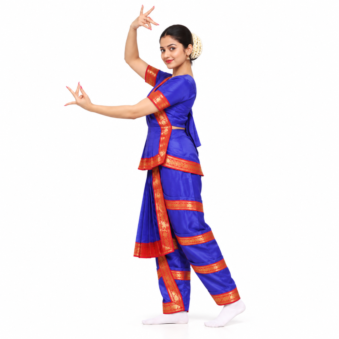 Bharatanatyam Dress - Indian Classical Dance Costume