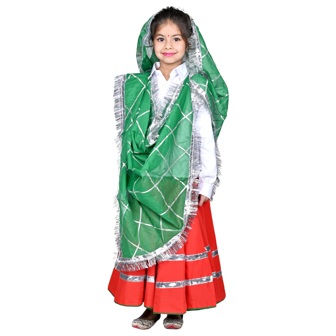 Haryanvi Dress For Girls Kids Indian States &amp; Folk Dance Costume (IMC45005-REDGREEN)