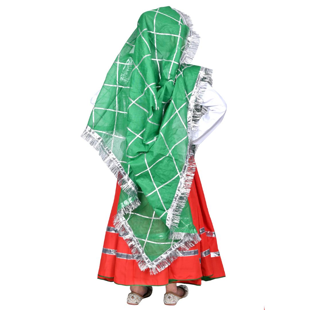 Haryanvi Dress For Girls Kids Indian States &amp; Folk Dance Costume (IMC45005-REDGREEN)