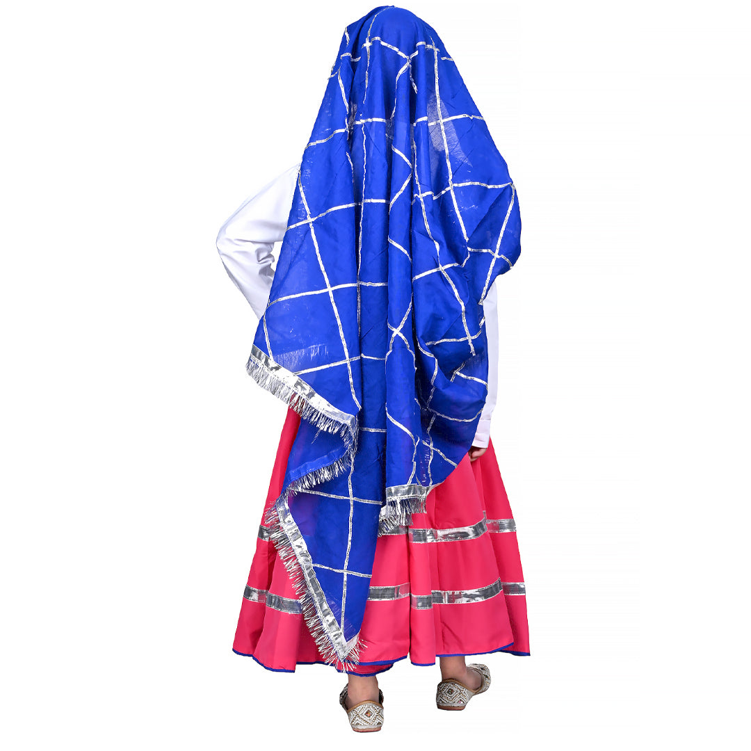 Haryanvi Dress For Girls Kids Indian States &amp; Folk Dance Costume (IMC45005-PINKBLUE)
