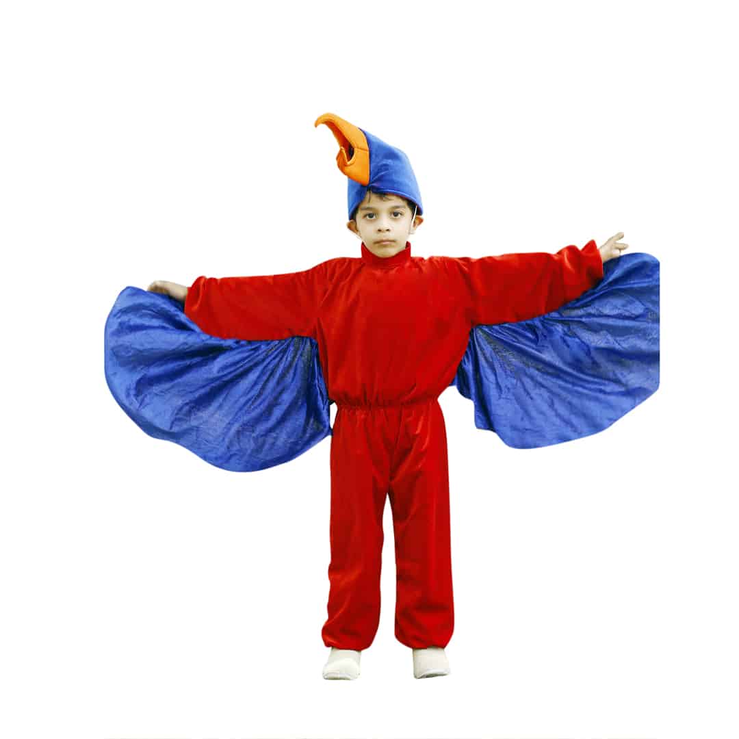 Eagle Bird Kids Fancy Dress Costume