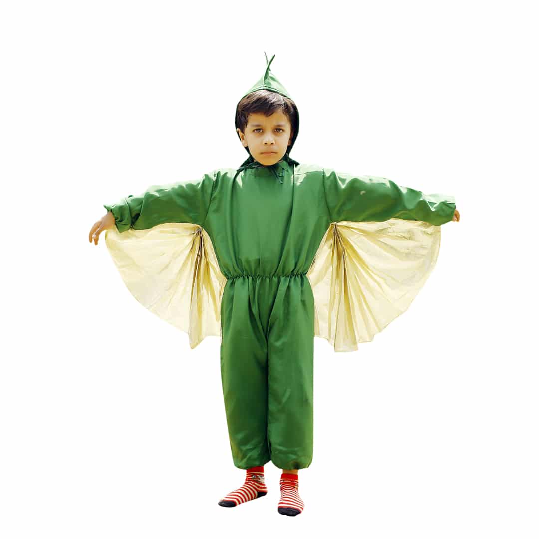 Dragon Costume - Kids Fancy Dress