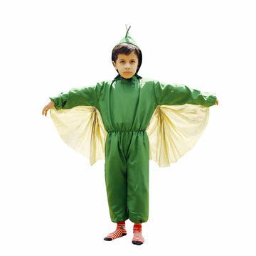 Dragon Costume - Kids Fancy Dress