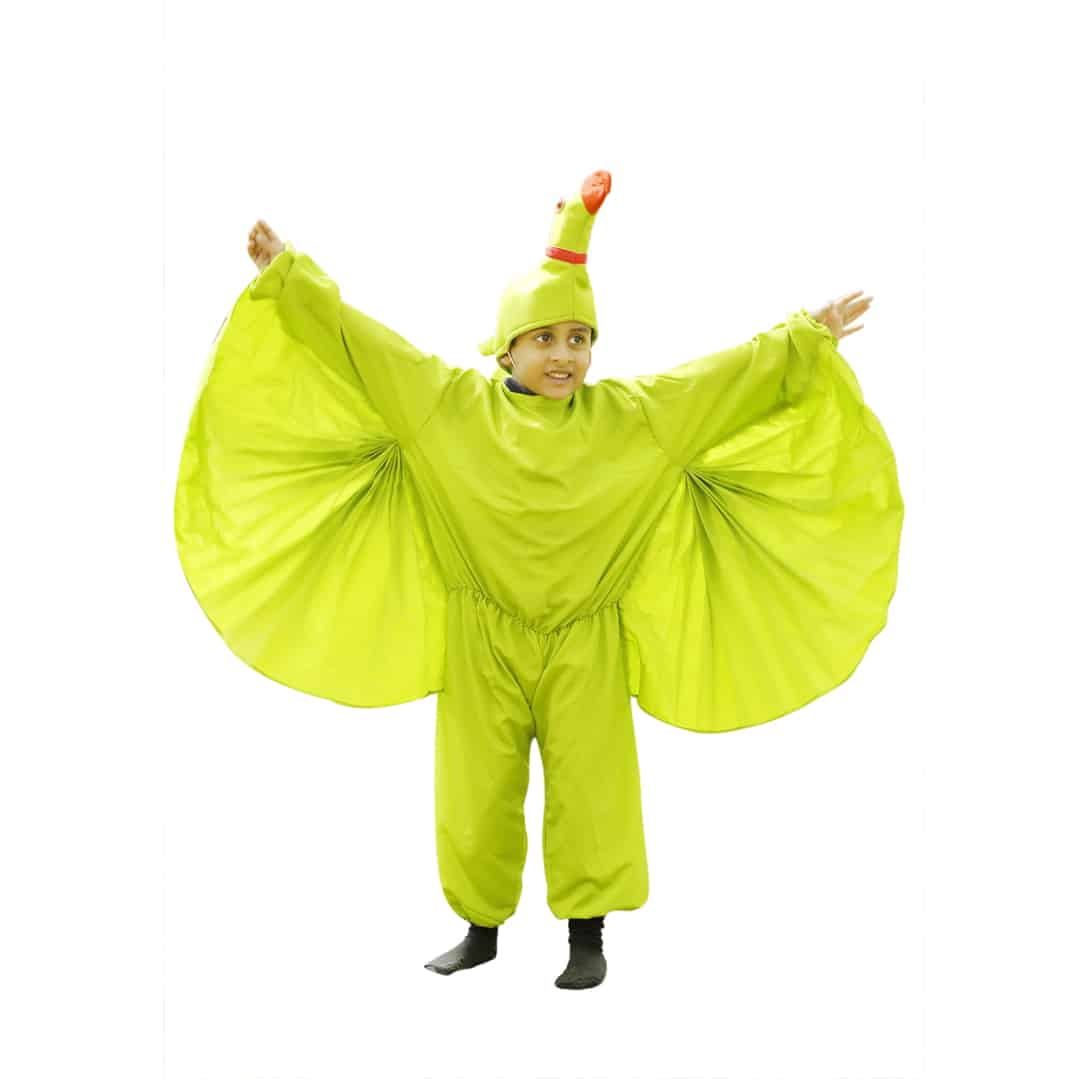 Parrot Costume - Kids Fancy Dress