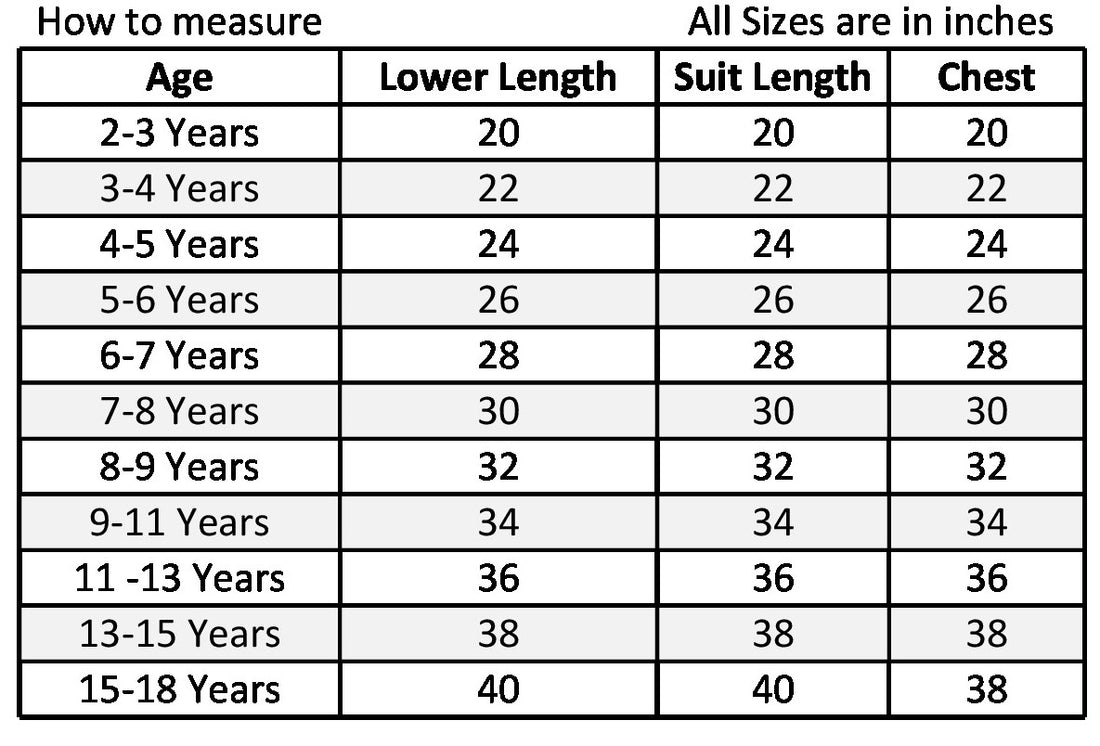 Punjabi Dress for Girls Traditional Folk Dance Costume for Kids