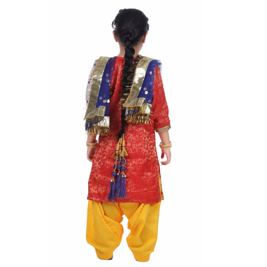 Punjabi Dress for Girls Traditional Folk Dance Costume for Kids