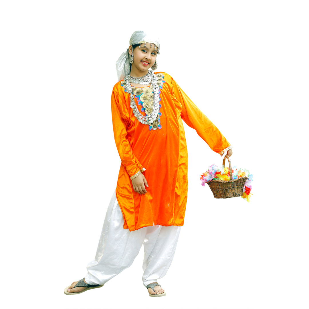 Kashmiri Dress For Girl - Kids Fancy Costume (IMC615)