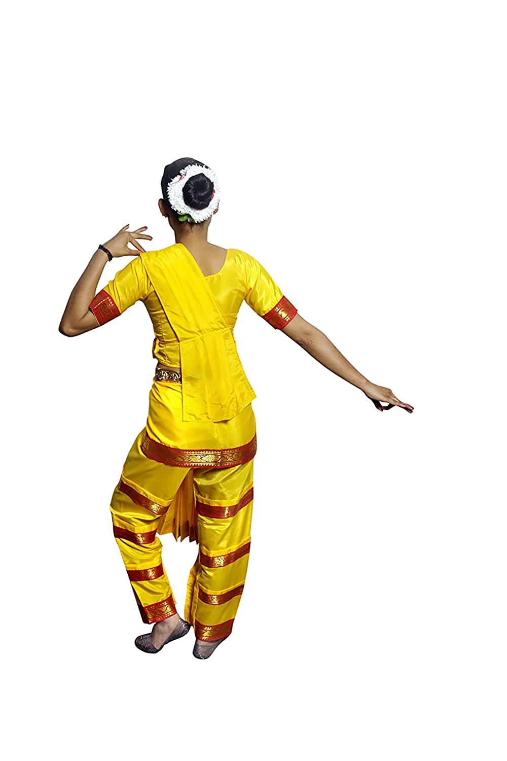 Bharatanatyam Dress - Indian Classical Dance Costume  ItsMyCostume