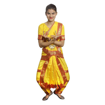 Bharatanatyam Dress - Indian Classical Dance Costume